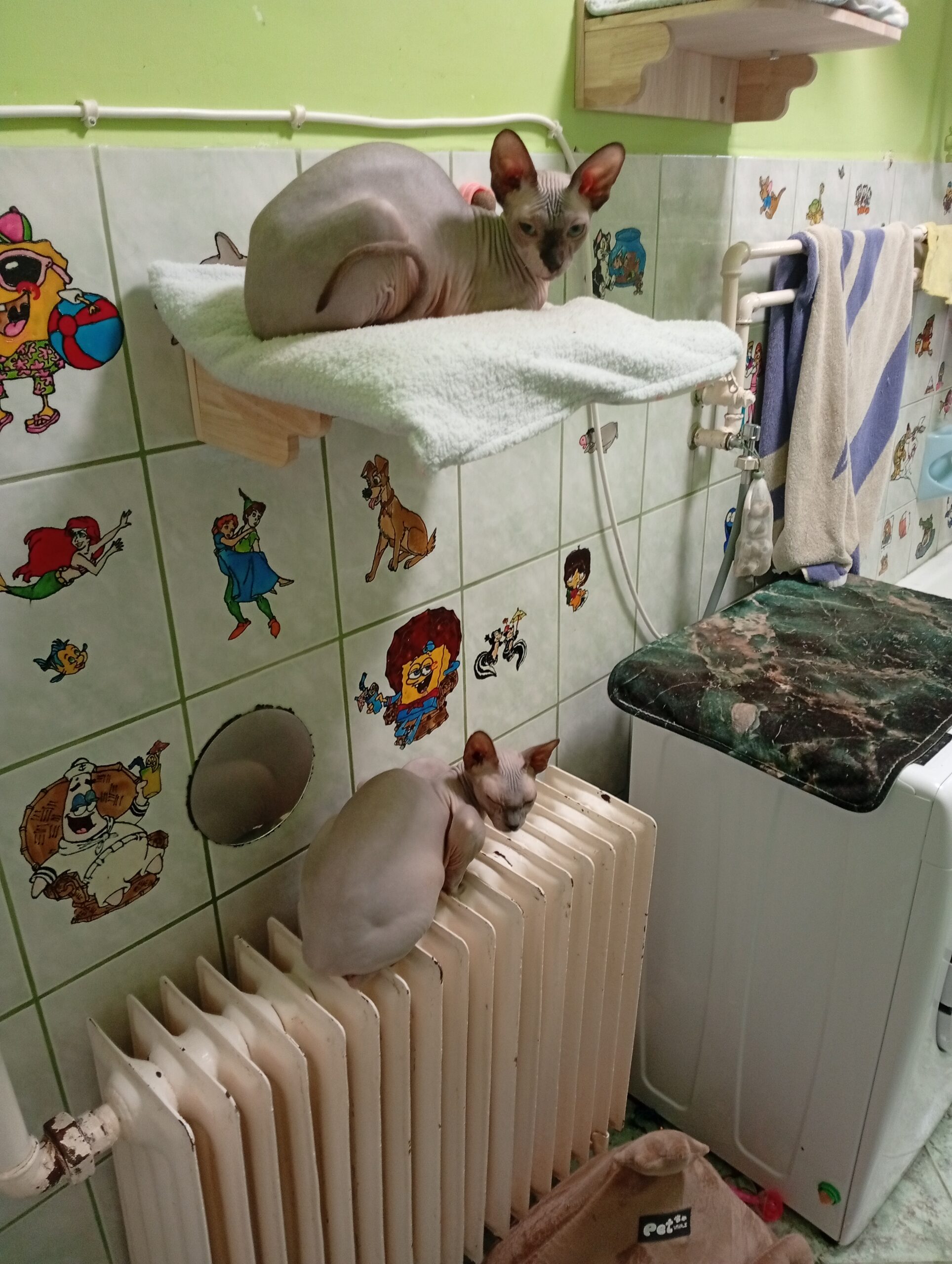 IMG_20260217_114520